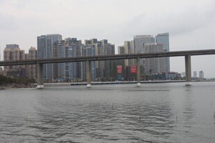 城市河畔桥梁风景