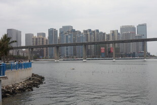 城市河畔与远处高楼景观