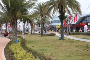 城市中绿意盎然的休闲广场