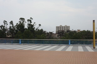 户外空旷广场与远处树木