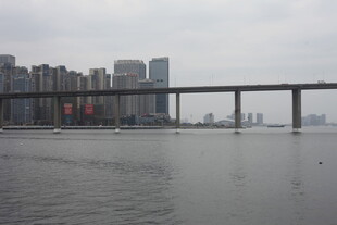 城市桥梁横跨水面景观