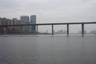 城市江景中的跨江大桥