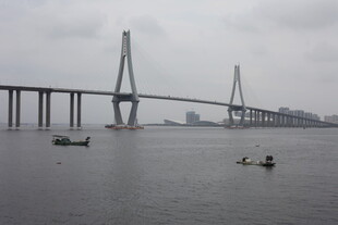 江上大桥与江中船只