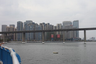 城市江边桥梁风景画面