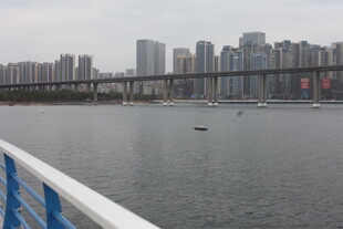 江边城市景观与桥梁