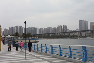 江边漫步景 城市风光美