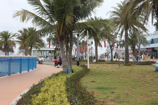 海滨度假区的休闲风光