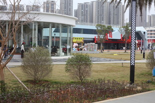 城市公园景观一角