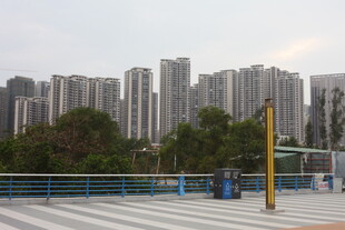 城市高楼与户外景观