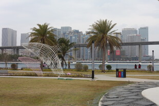 城市公园中的喷泉景观