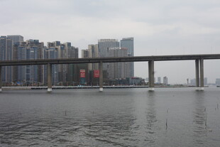 城市江景中的高架桥