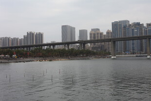 城市河畔桥梁景观