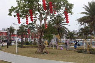 节日街头挂饰装点的树