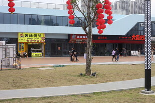 商业街景挂红灯笼迎氛围