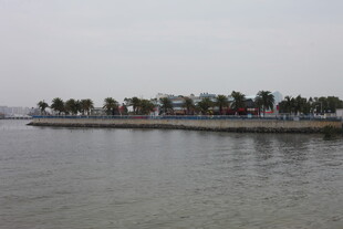 海滨风光 岸边绿树成荫