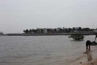 岸边人与狗的宁静水岸景