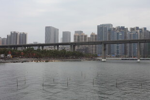 城市河畔桥梁与高楼景观