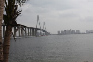 海滨大桥与城市远景