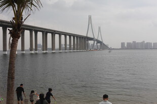海滨大桥下的休闲场景