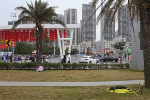 城市公园旁的高楼景观