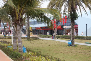 海滨休闲区的惬意景致