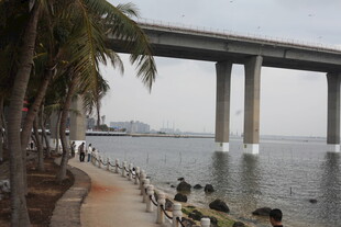 海滨公路旁的休闲场景