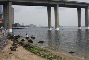 桥下河畔钓鱼场景