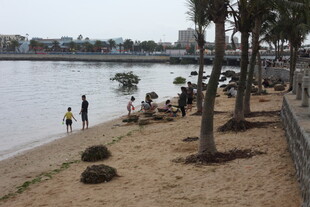 河畔沙滩休闲景象