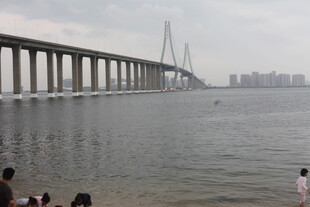 海滨大桥下人群赏景画面