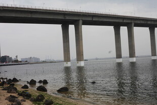 江边大桥壮观景象