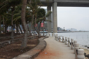 河畔步道与高架桥景观