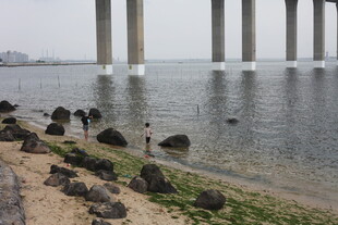 海边大桥下的休闲场景
