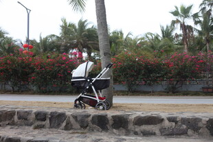 路边的婴儿车与绿植景观