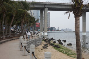 江边步道与桥上风光