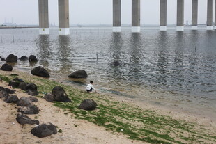 海边桥梁下的静谧景致