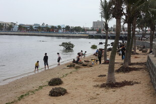 海滨休闲场景 人们漫步赏景