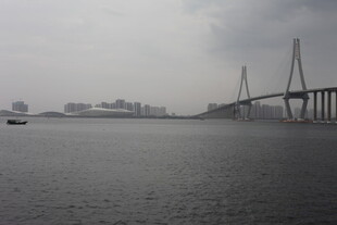 阴天江畔的大桥景观