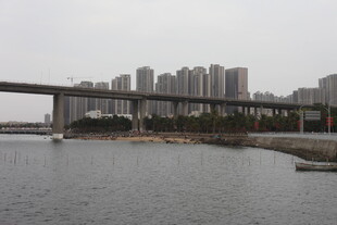 城市江畔桥梁与高楼景观