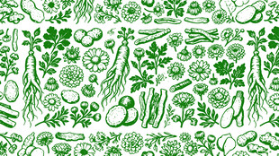 绿色中药材植物花卉图案素材