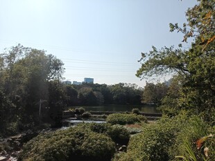 户外绿意盎然的自然景致