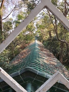 绿色屋顶