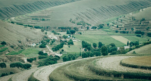 田园风光中的村落美景