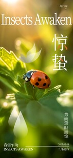 惊蛰