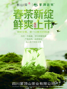 春茶鲜爽上市海报展示