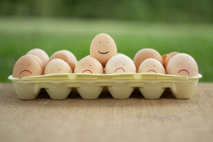 鸡蛋