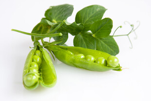 豌豆