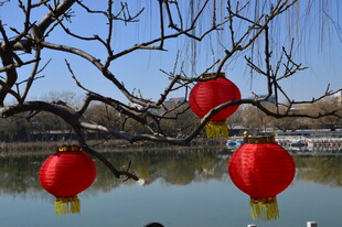  冬日风景  