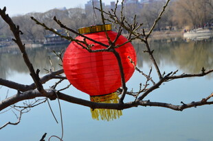 冬日风景  
