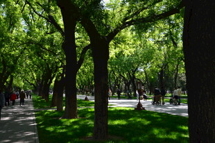公园风景  