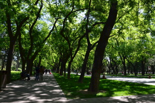 公园风景  